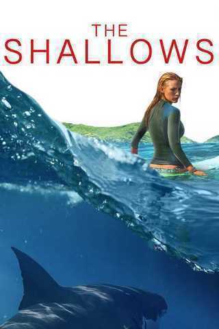 The Shallows Soundtrack