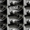 Vernous - Only the Light Knows
